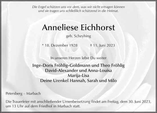 Traueranzeige von Anneliese Eichhorst von FZ